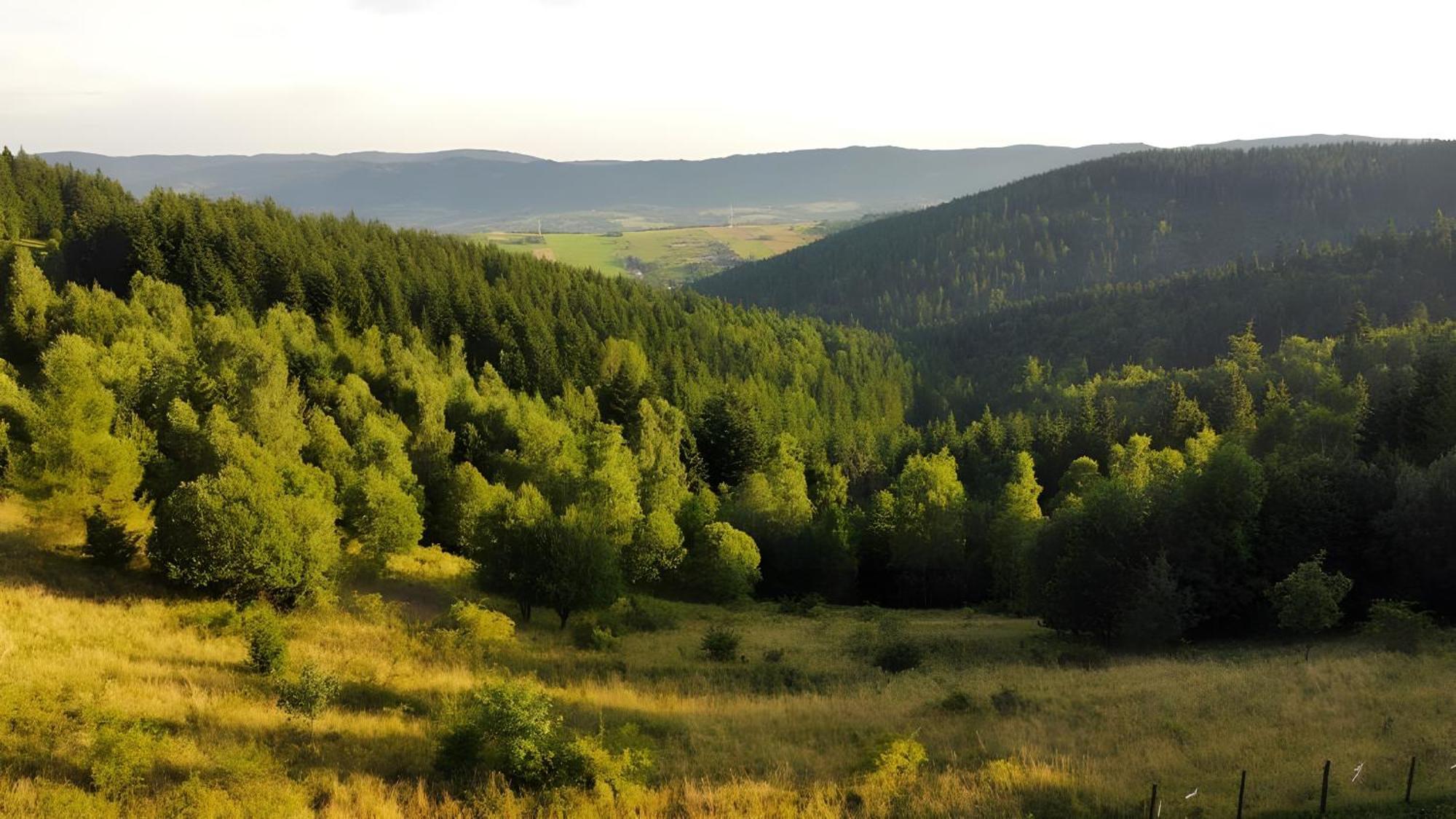 Przystanek Madejowa Holiday home